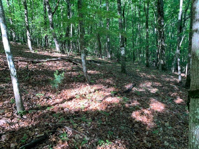 Lot 131 Laurel Crossing, Blue Ridge GA 30513 - Photo