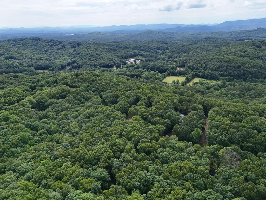 Lot 131 Laurel Crossing, Blue Ridge GA 30513 - Photo