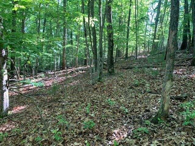 Lot 131 Laurel Crossing, Blue Ridge GA 30513 - Photo