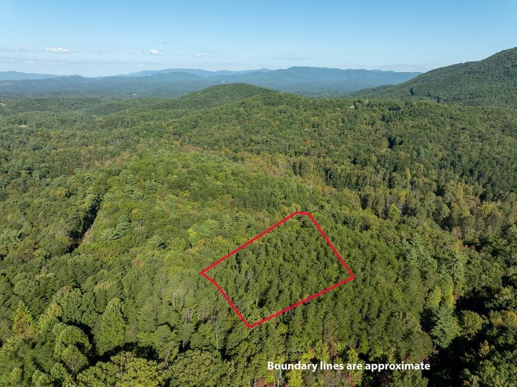 Tract 1 Turniptown Road, Ellijay GA 30536 - Photo