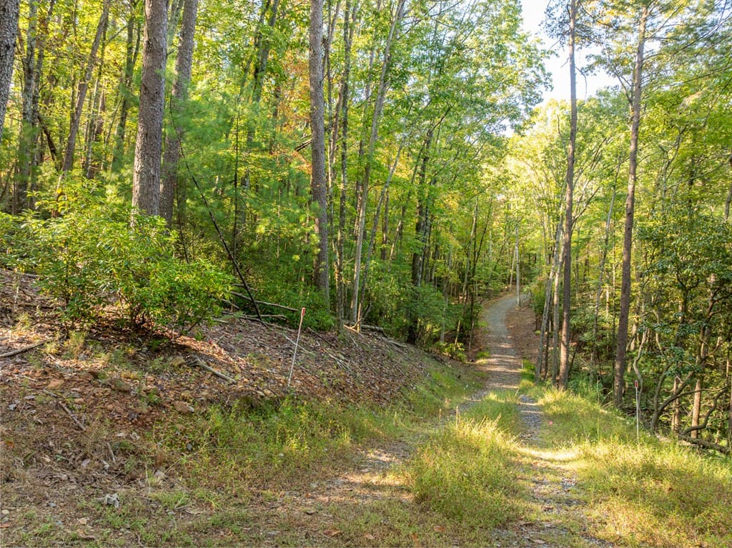 Tract 1 Turniptown Road, Ellijay GA 30536 - Photo