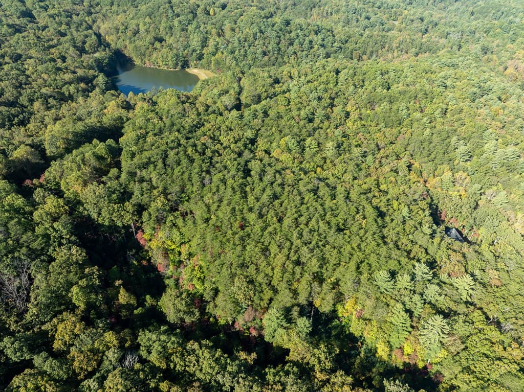 Tract 1 Turniptown Road, Ellijay GA 30536 - Photo