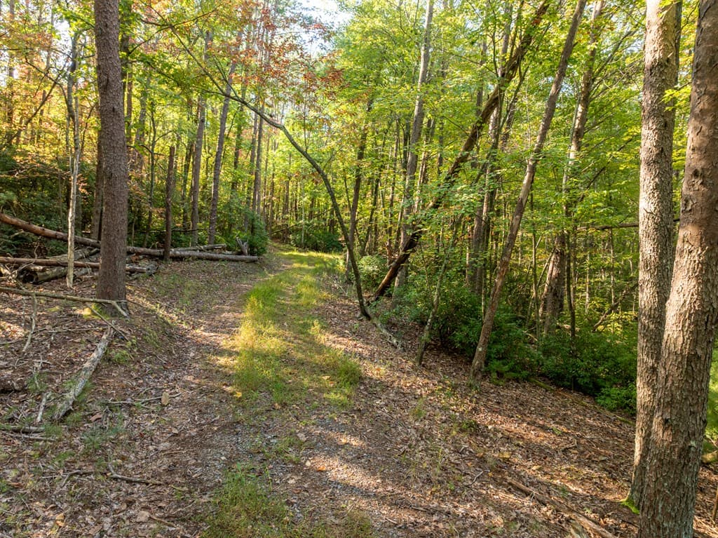 Tract 1 Turniptown Road, Ellijay GA 30536 - Photo