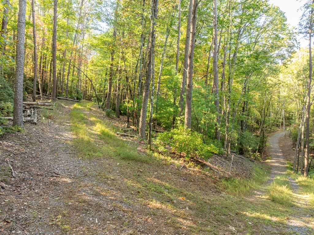 Tract 1 Turniptown Road, Ellijay GA 30536 - Photo