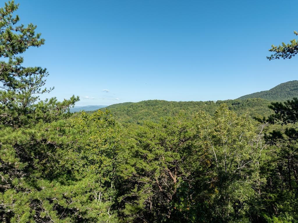 Tract 1 Turniptown Road, Ellijay GA 30536 - Primary photo
