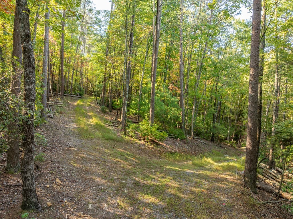 Tract 1 Turniptown Road, Ellijay GA 30536 - Photo