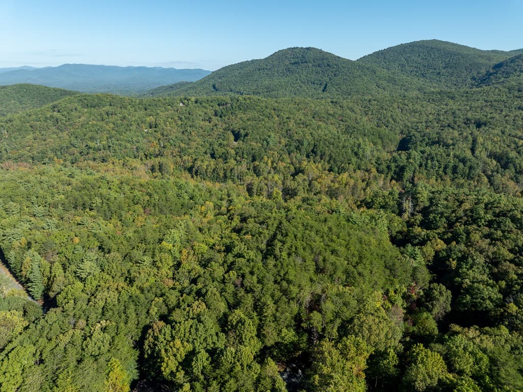Tract 1 Turniptown Road, Ellijay GA 30536 - Photo