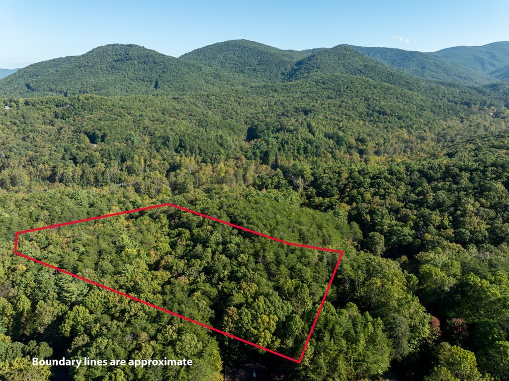 Tract 1 Turniptown Road, Ellijay GA 30536 - Photo