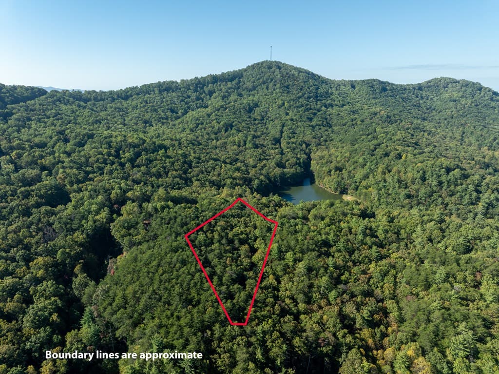 Tract 1 Turniptown Road, Ellijay GA 30536 - Photo