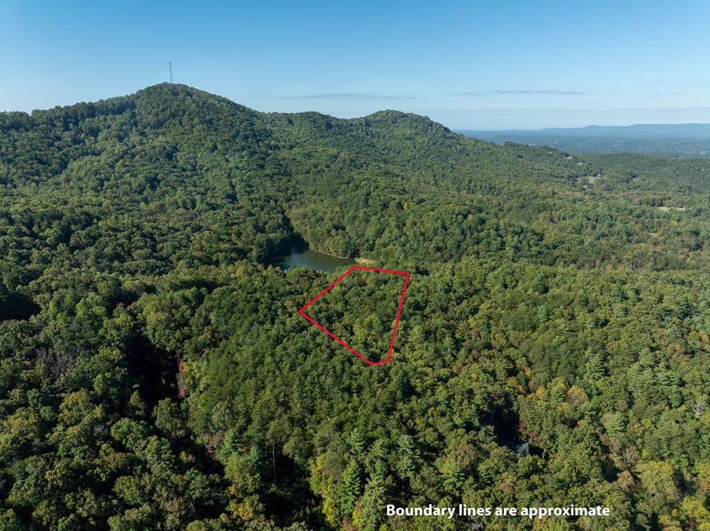 Tract 1 Turniptown Road, Ellijay GA 30536 - Photo