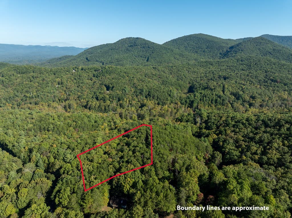 Tract 1 Turniptown Road, Ellijay GA 30536 - Photo