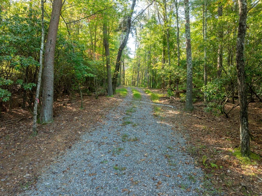 Tract 1 Turniptown Road, Ellijay GA 30536 - Photo