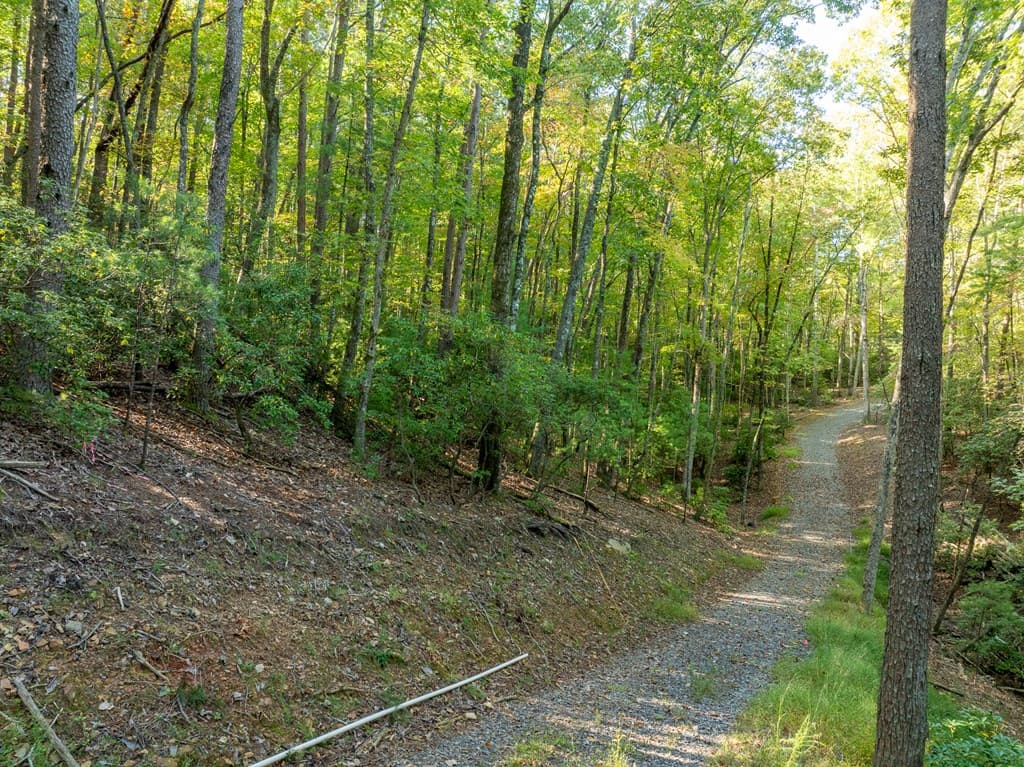 Tract 1 Turniptown Road, Ellijay GA 30536 - Photo