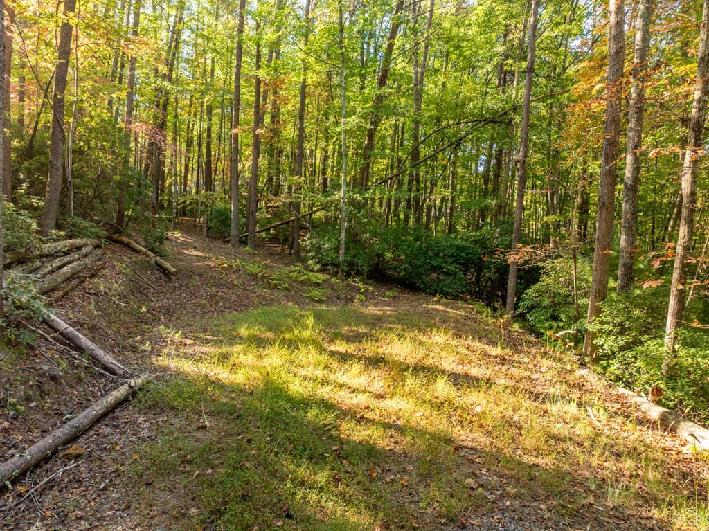 Tract 1 Turniptown Road, Ellijay GA 30536 - Photo