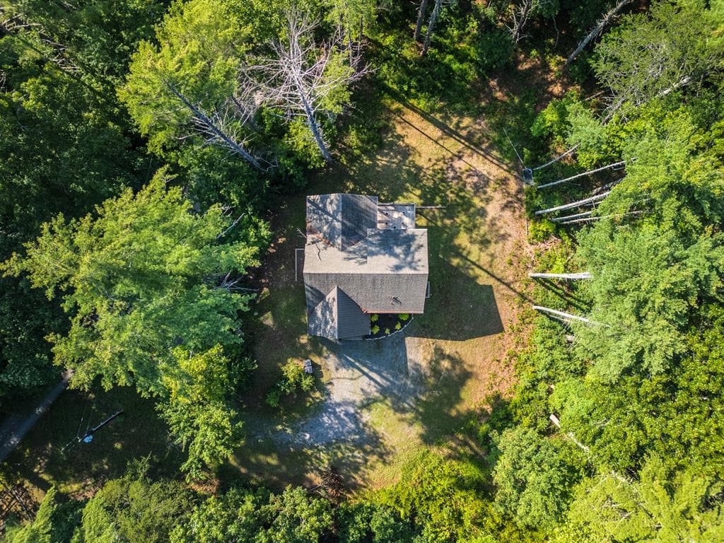 345 Deer Trail, Mineral Bluff GA 30559 - Photo