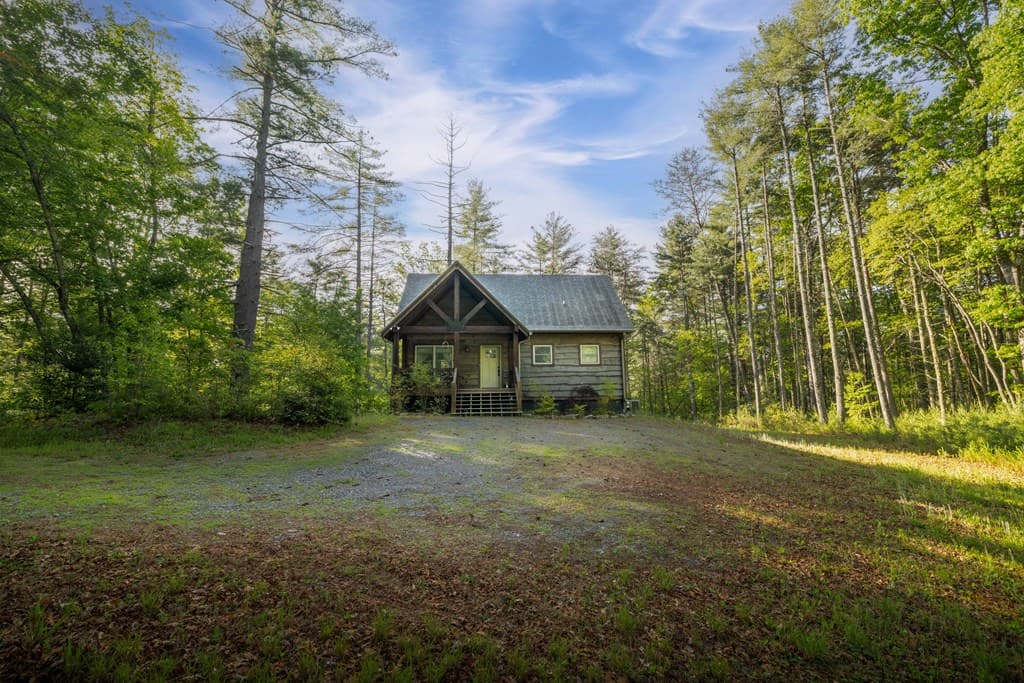 345 Deer Trail, Mineral Bluff GA 30559 - Photo