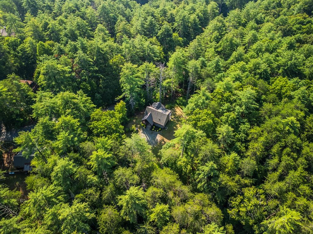 345 Deer Trail, Mineral Bluff GA 30559 - Photo