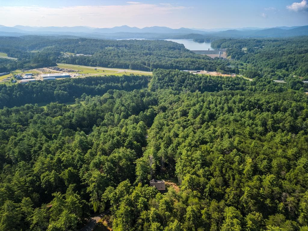 345 Deer Trail, Mineral Bluff GA 30559 - Photo