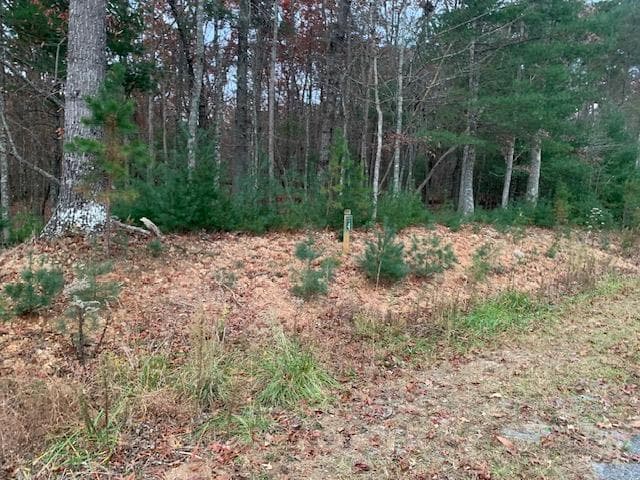 Lot 4 Courtney Lane, Blairsville GA 30512 - Photo