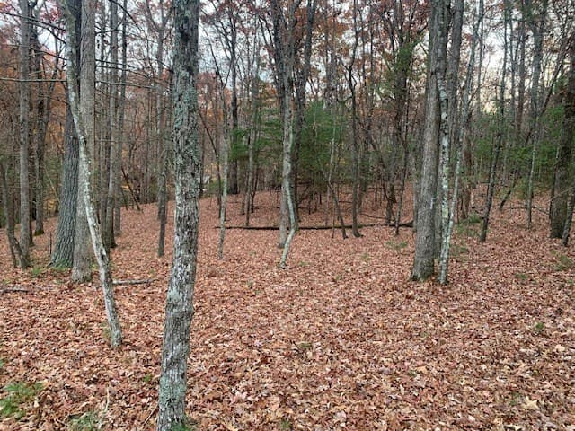 Lot 4 Courtney Lane, Blairsville GA 30512 - Photo