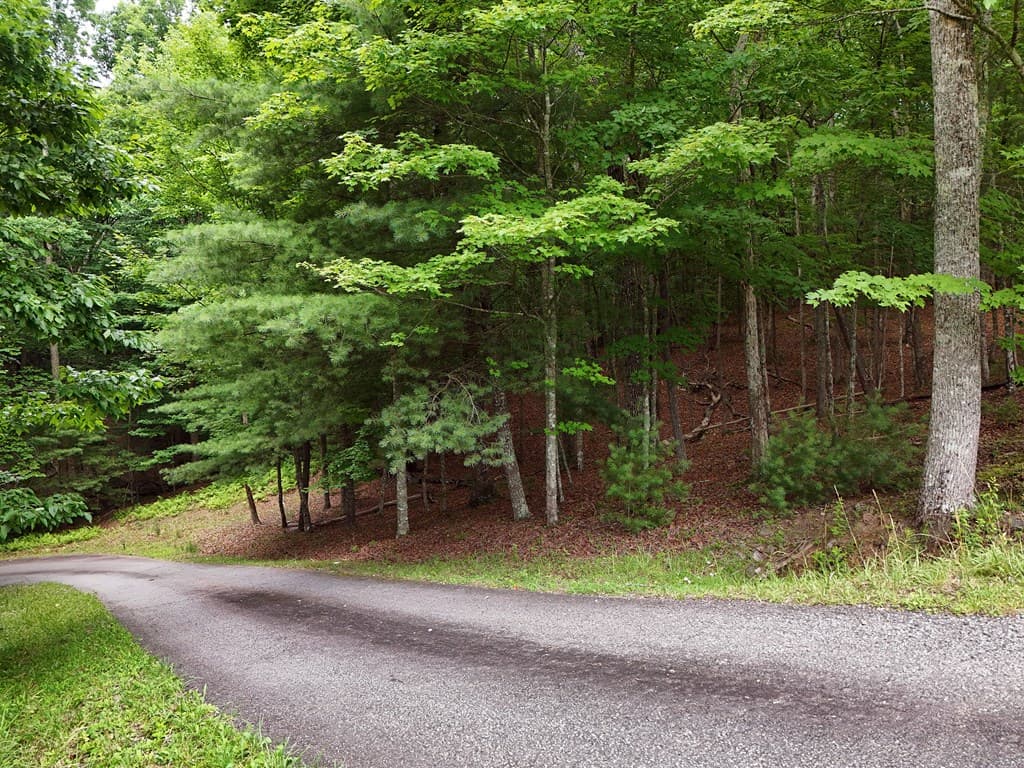 Lot 4 Courtney Lane, Blairsville GA 30512 - Photo
