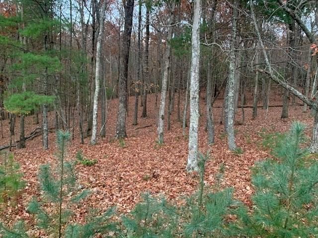 Lot 4 Courtney Lane, Blairsville GA 30512 - Primary photo