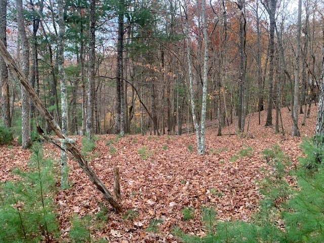 Lot 4 Courtney Lane, Blairsville GA 30512 - Photo