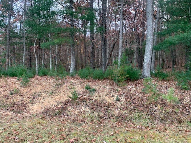 Lot 4 Courtney Lane, Blairsville GA 30512 - Photo