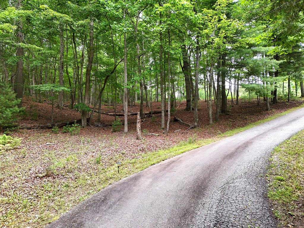 Lot 4 Courtney Lane, Blairsville GA 30512 - Photo