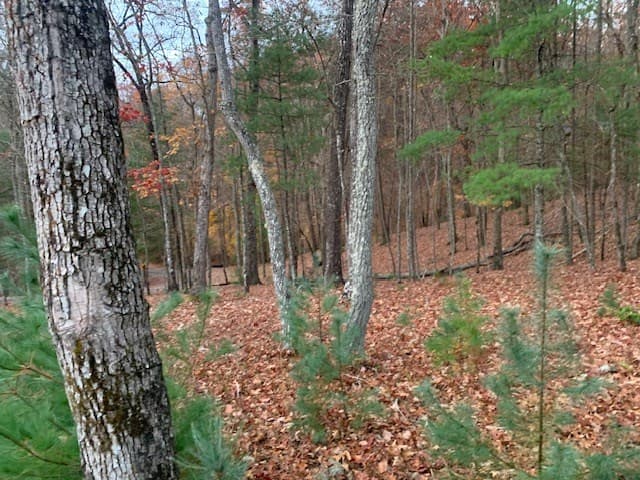 Lot 4 Courtney Lane, Blairsville GA 30512 - Photo