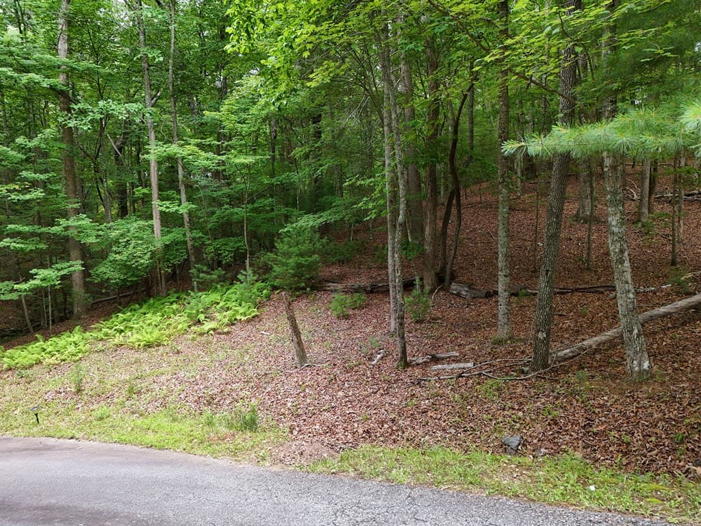 Lot 4 Courtney Lane, Blairsville GA 30512 - Photo