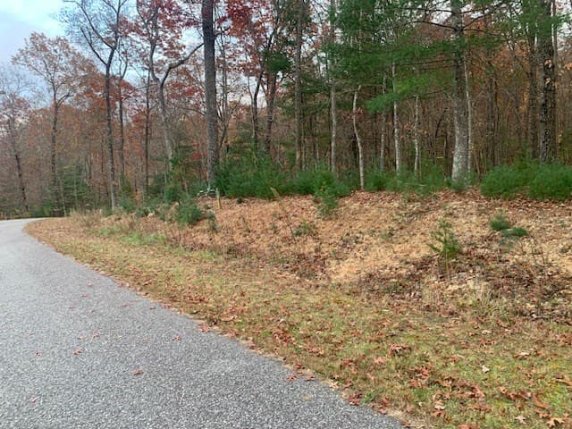 Lot 4 Courtney Lane, Blairsville GA 30512 - Photo