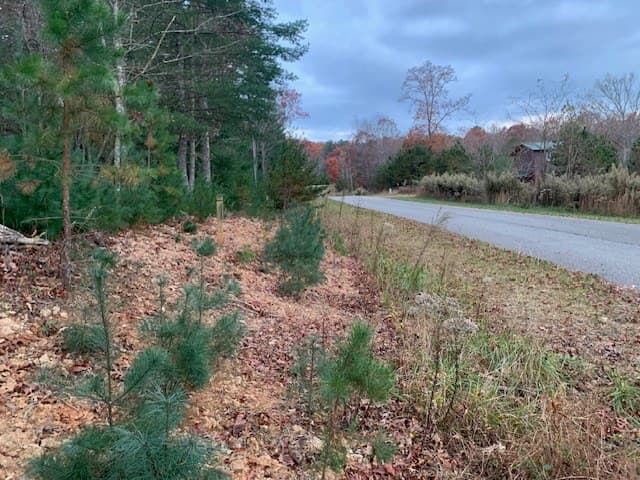 Lot 4 Courtney Lane, Blairsville GA 30512 - Photo