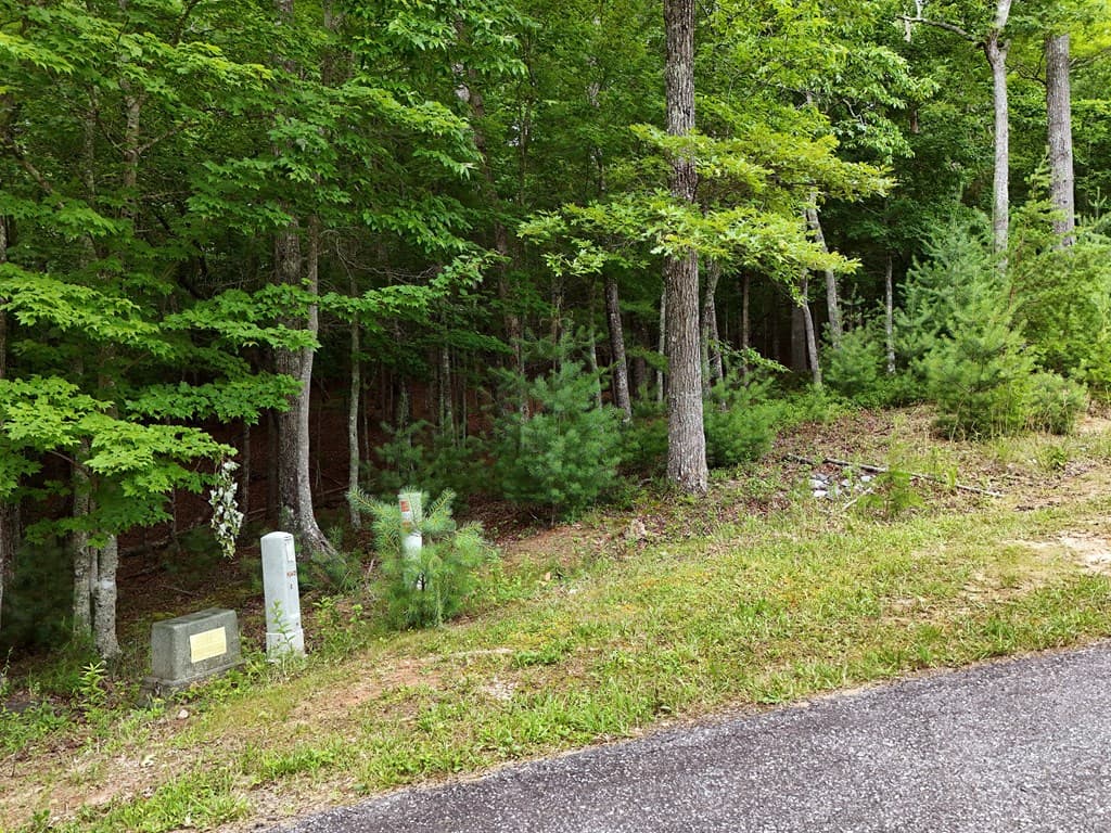 Lot 4 Courtney Lane, Blairsville GA 30512 - Photo