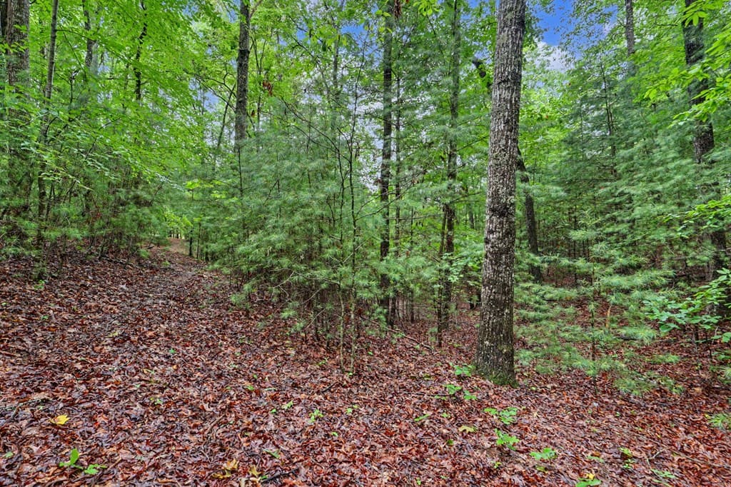 71 Lawrence Drive, Murphy NC 28906 - Photo