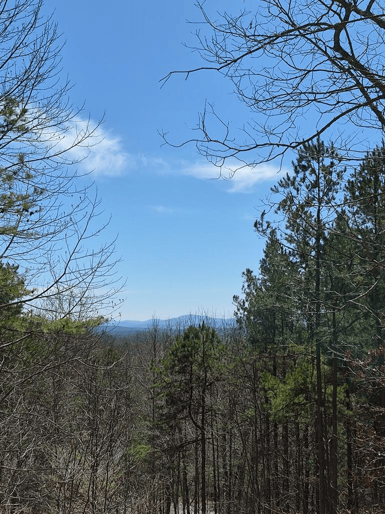 88 Meadowlark Terrace, Murphy NC 28906 - Photo