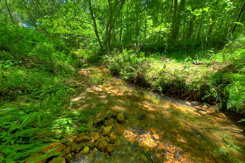 6385 Hwy 2, Epworth GA 30541 - Photo