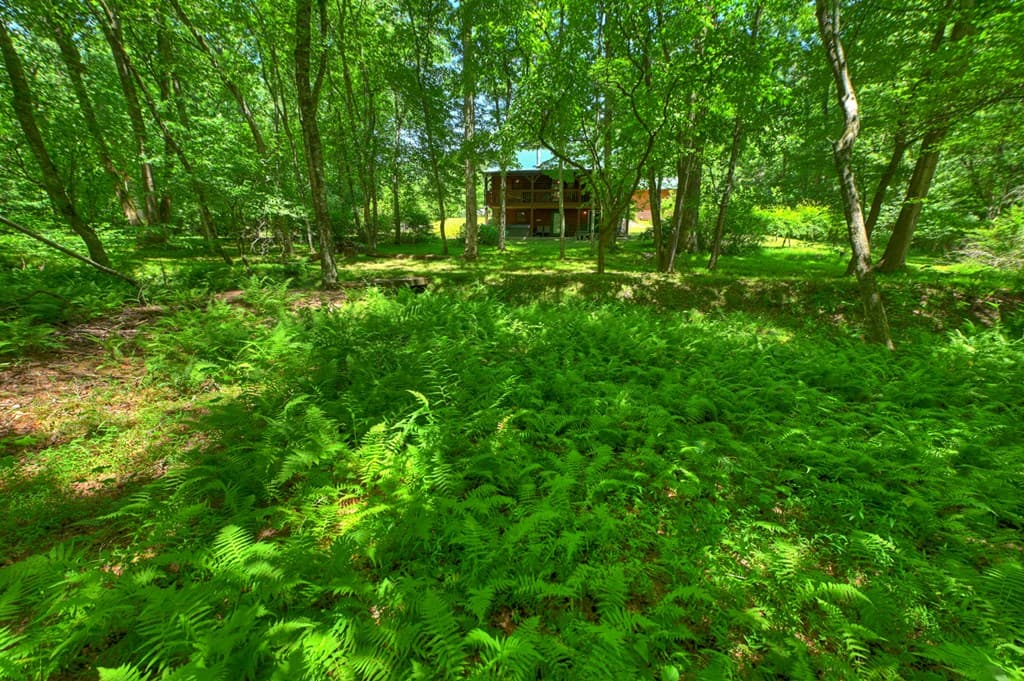 6385 Hwy 2, Epworth GA 30541 - Photo