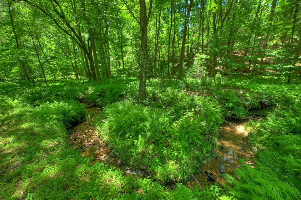 6385 Hwy 2, Epworth GA 30541 - Photo