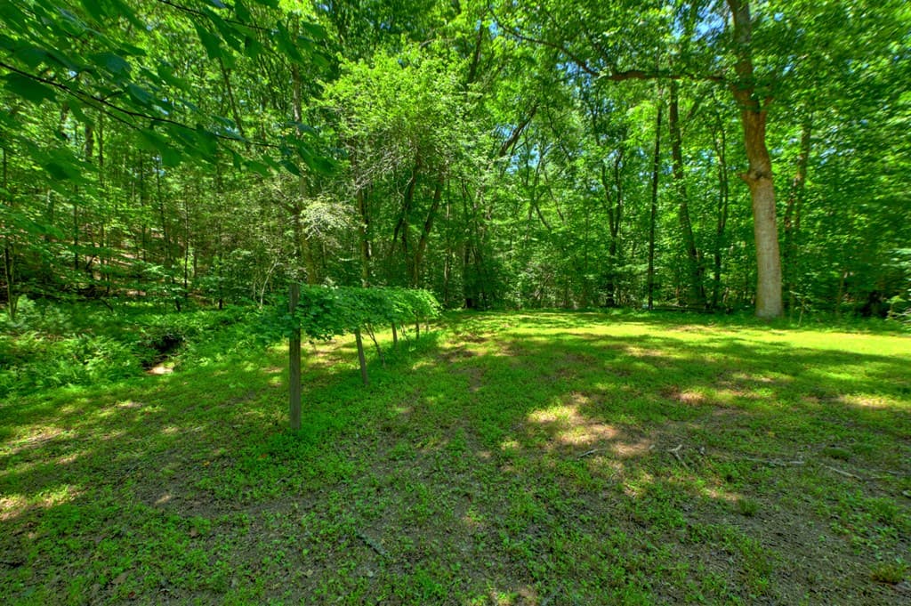 6385 Hwy 2, Epworth GA 30541 - Photo