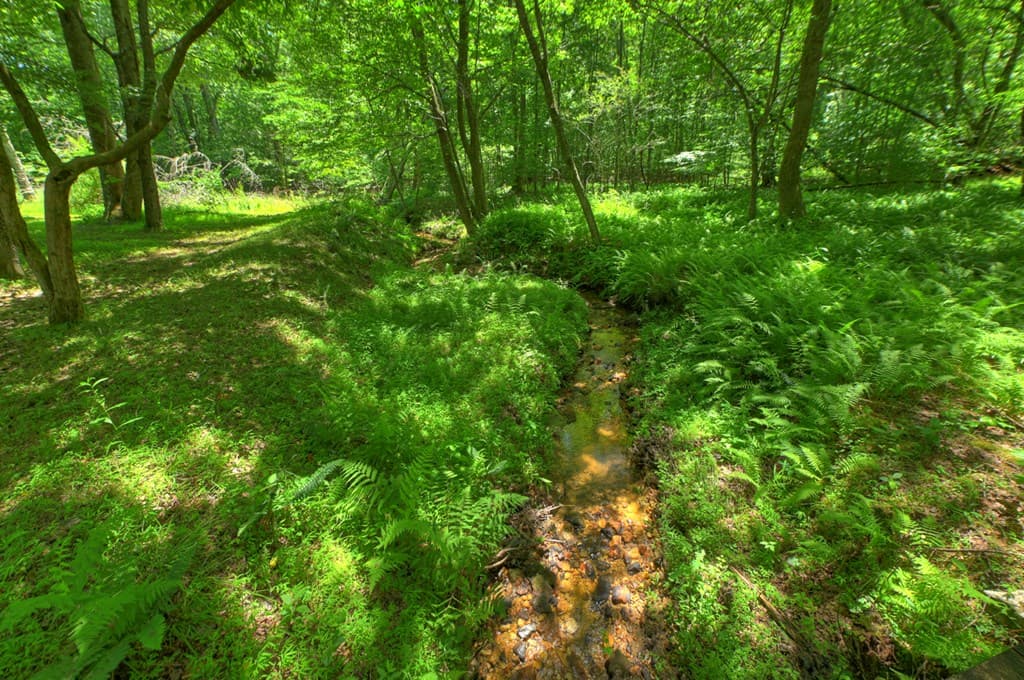 6385 Hwy 2, Epworth GA 30541 - Photo
