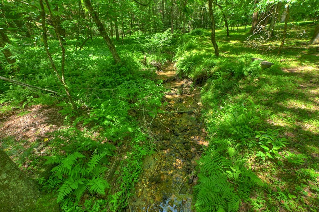 6385 Hwy 2, Epworth GA 30541 - Photo