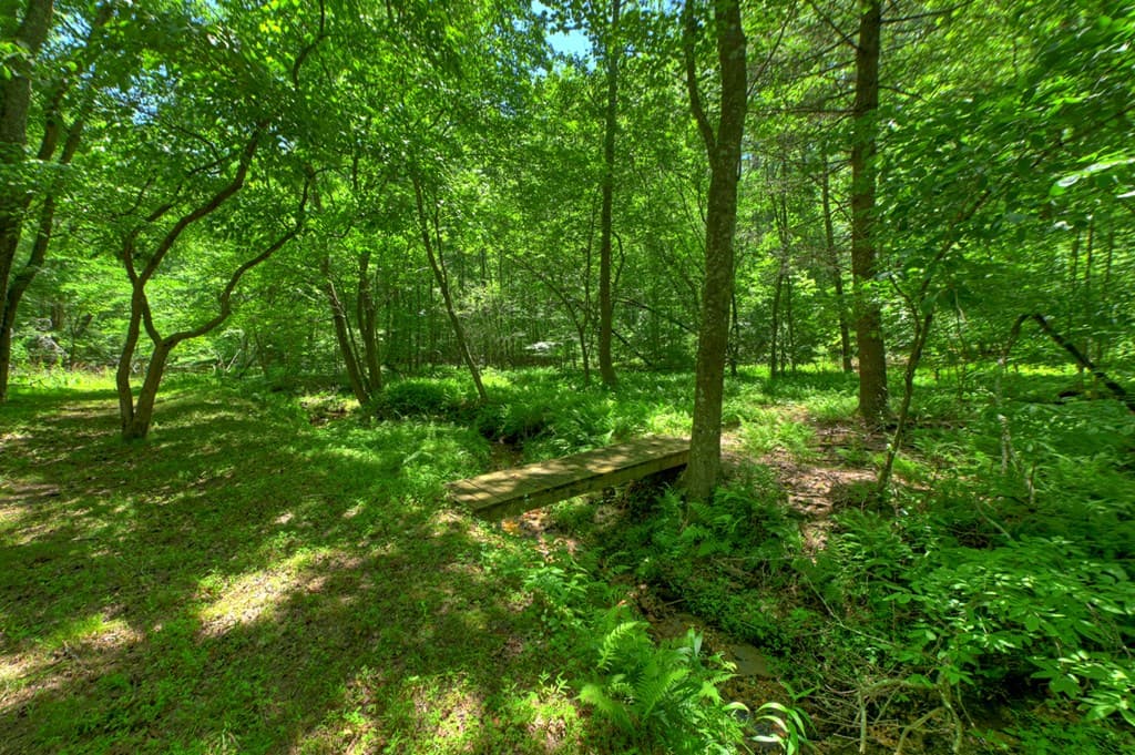 6385 Hwy 2, Epworth GA 30541 - Photo