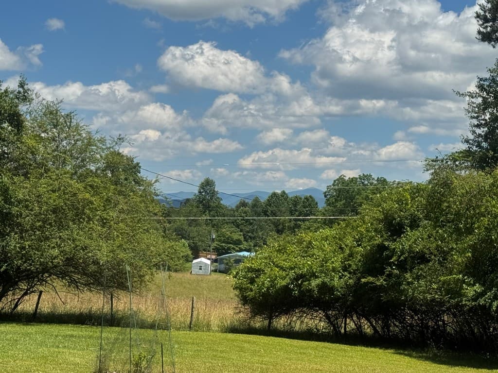 28 Honaker Road, Blairsville GA 30512 - Photo