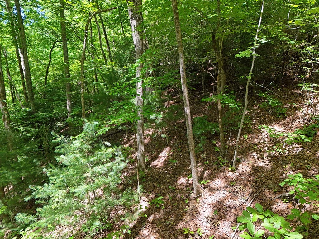 Lot 12 Hightower Ridge, Hiawassee GA 30546 - Photo