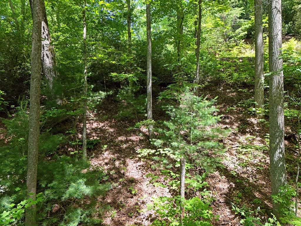 Lot 12 Hightower Ridge, Hiawassee GA 30546 - Photo