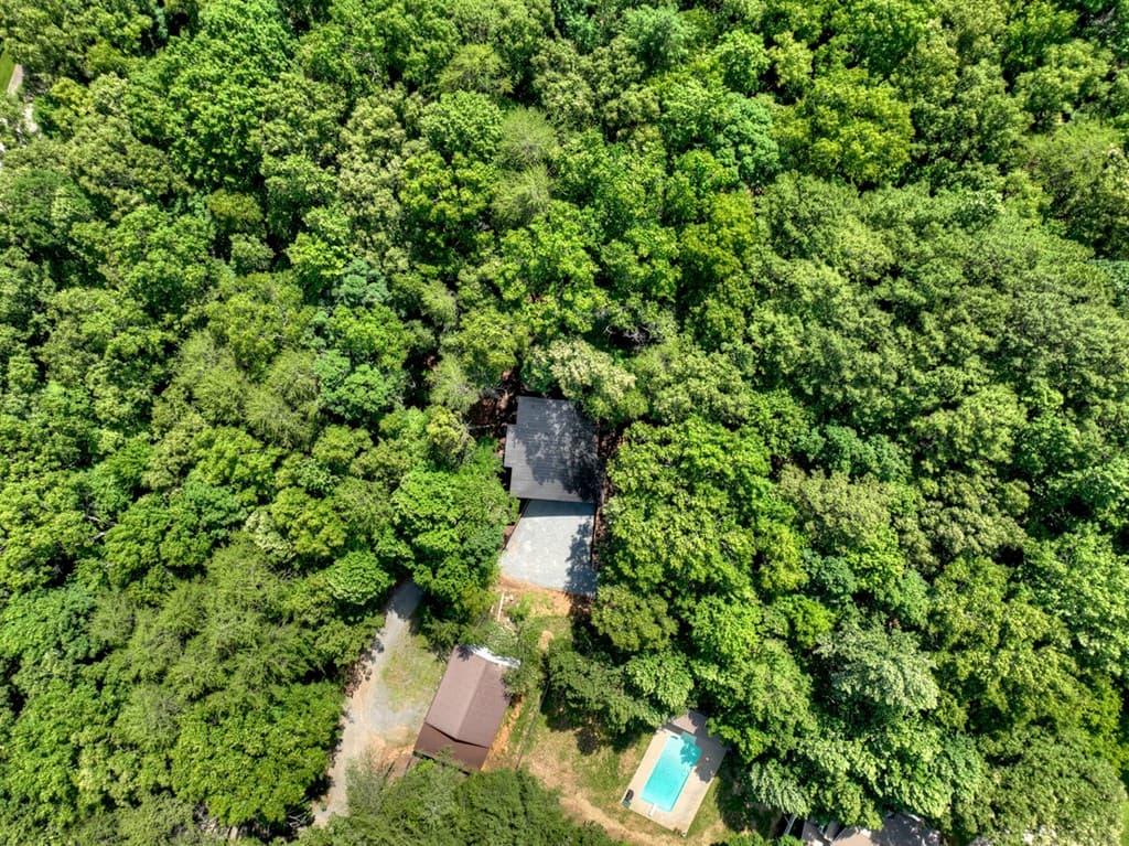 85 Duck Cove, Morganton GA 30560 - Photo