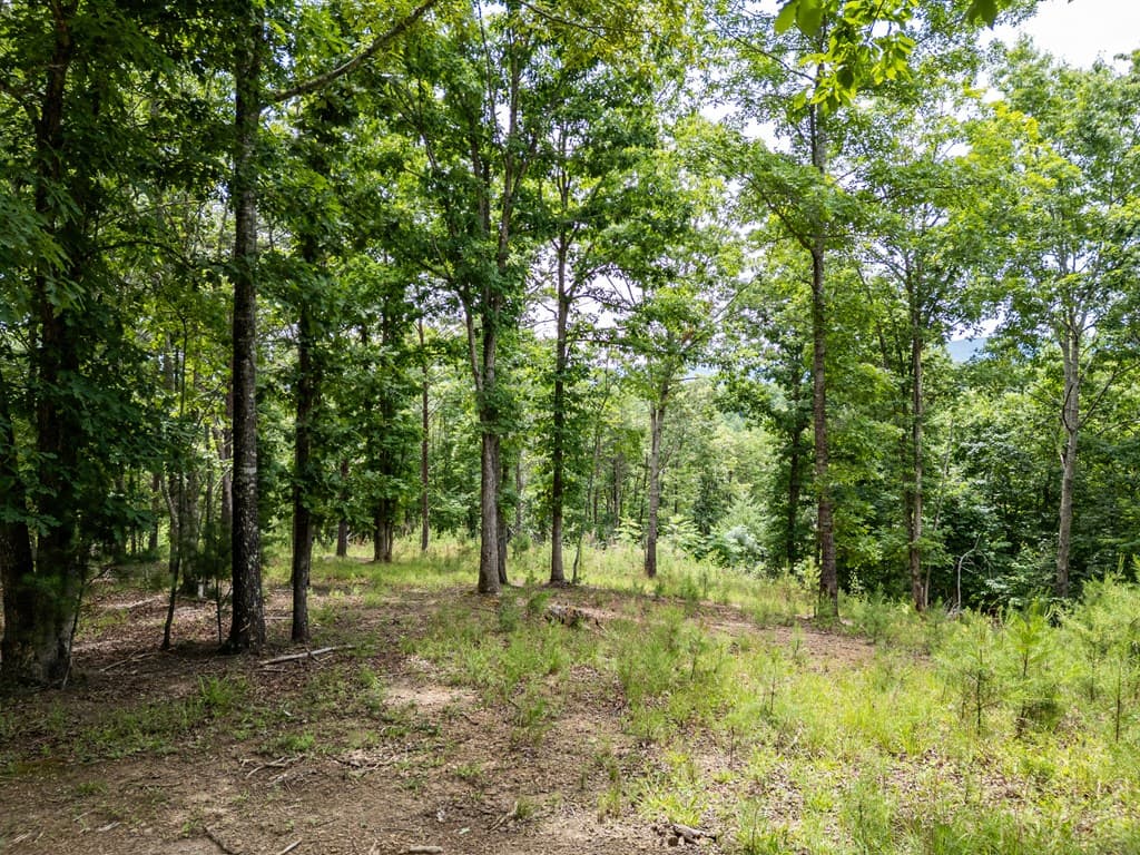 Lt 1 Stormy Ridge, Brasstown NC 28902 - Photo