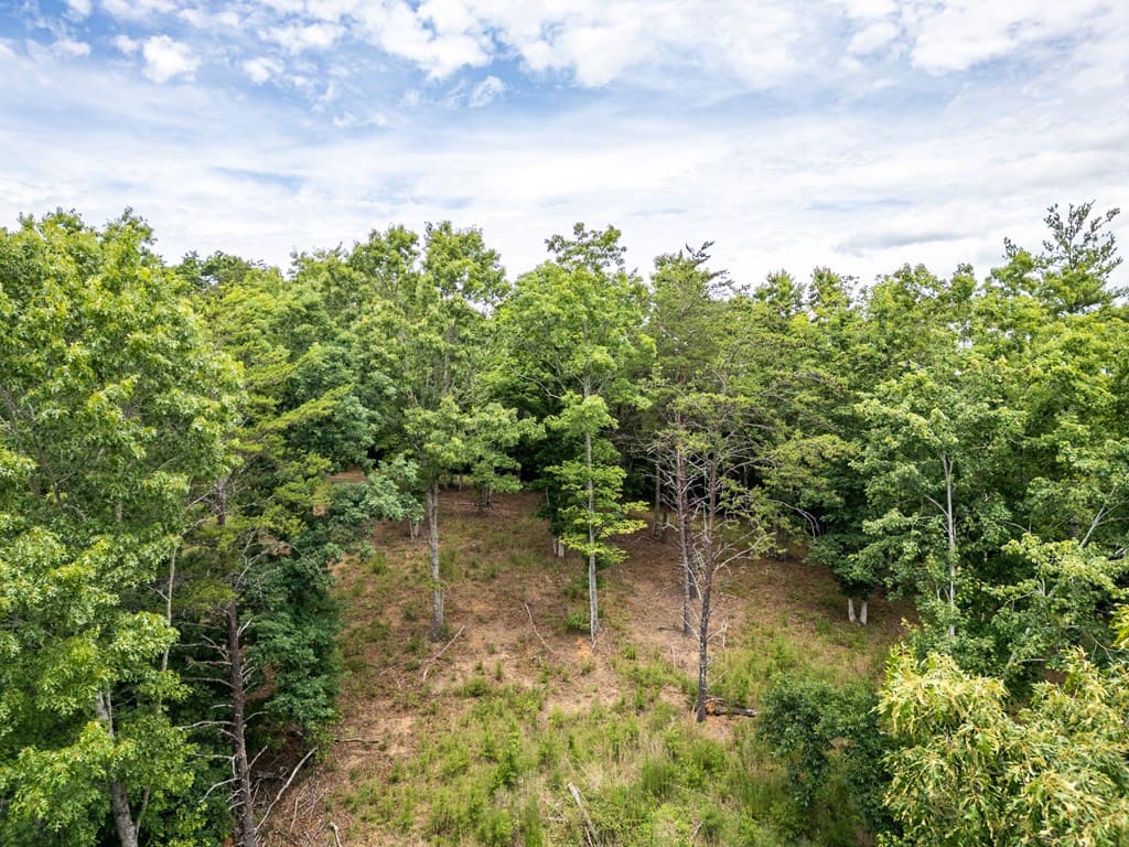 Lt 1 Stormy Ridge, Brasstown NC 28902 - Photo