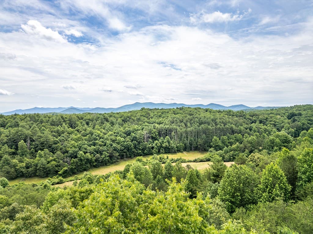 Lt 1 Stormy Ridge, Brasstown NC 28902 - Photo